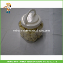 1LB X20/Ctn New Crop Top Quality Shandong Fresh Peeled Garlic